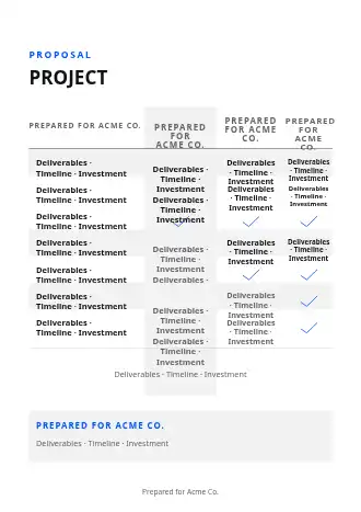 PROJECT SCOPE — Proposals & Pricing template
