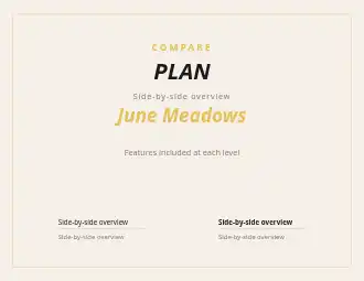 PLAN OPTIONS — Proposals & Pricing business template