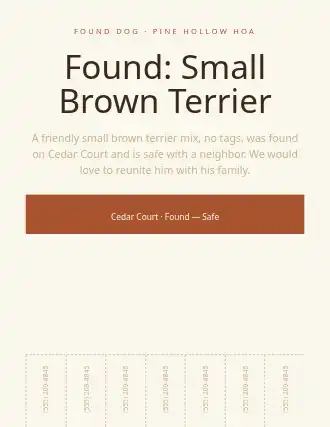 Found: Small Brown Terrier — Lost & Found template