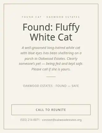 Found: Fluffy White Cat — Lost & Found flyer template