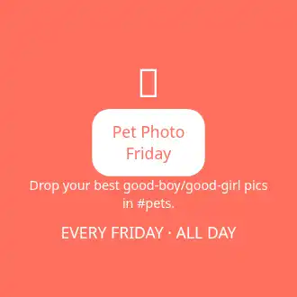 Fun — tag — Fun template