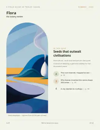 FLORA — Seeds that outwait civilisations — Science magazine template