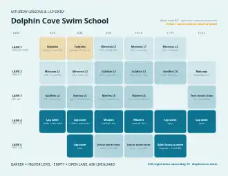 Dolphin Cove Swim School — lesson lane grid — Timetables & Classes template