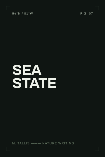 Sea State — Nonfiction & Cookbooks book cover template